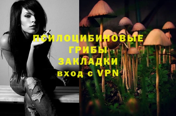 соль курить ск Протвино