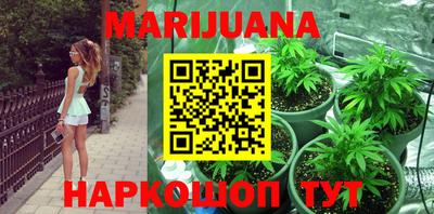 apvp Моздок
