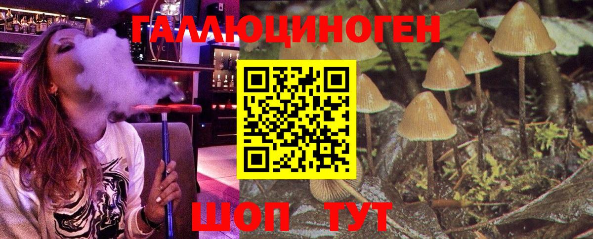 Холмск  Псилоцибиновые грибы Psilocybine cubensis  Вход с VPN 