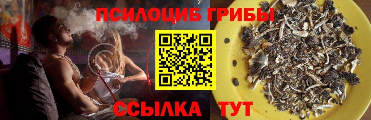 Псилоцибиновые грибы Magic Shrooms Холмск
